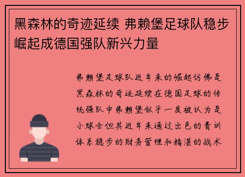 黑森林的奇迹延续 弗赖堡足球队稳步崛起成德国强队新兴力量